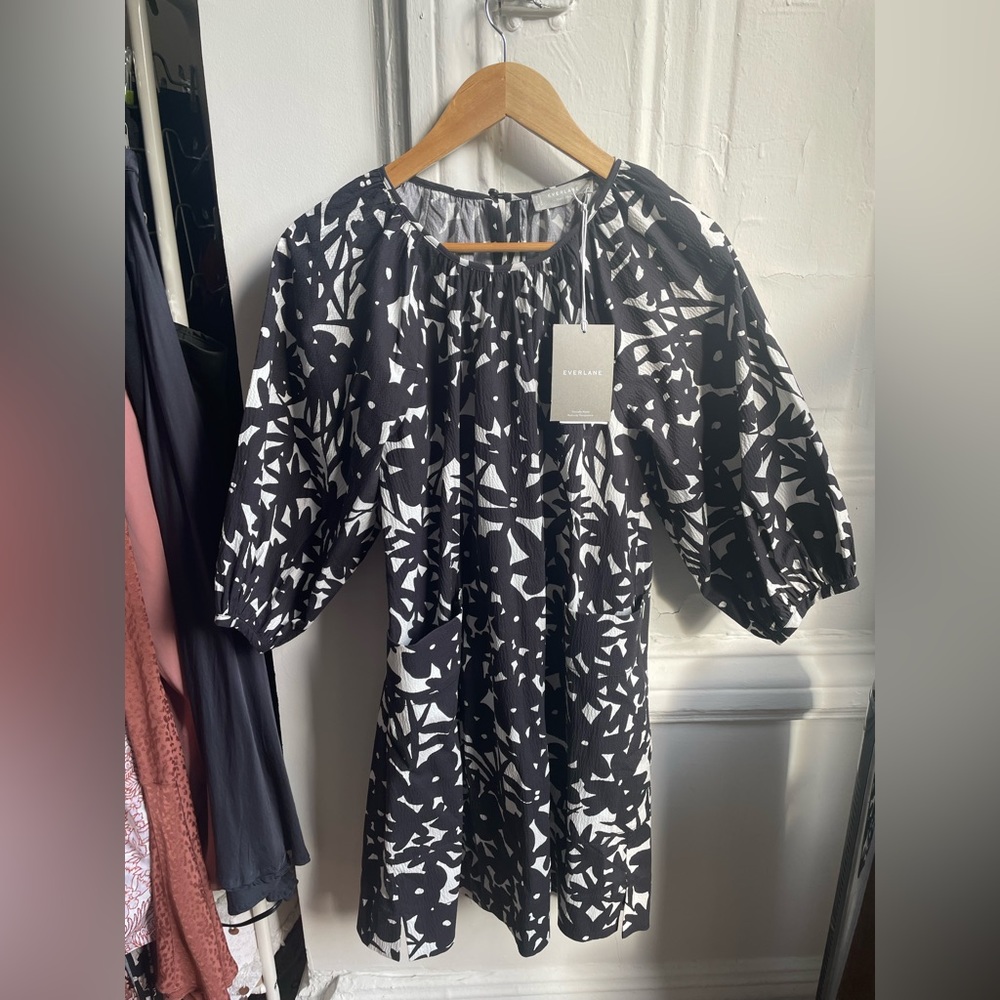 Everlane Seersucker Puff Sleeve Dress